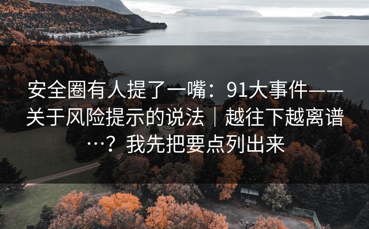 安全圈有人提了一嘴：91大事件——关于风险提示的说法｜越往下越离谱…？我先把要点列出来
