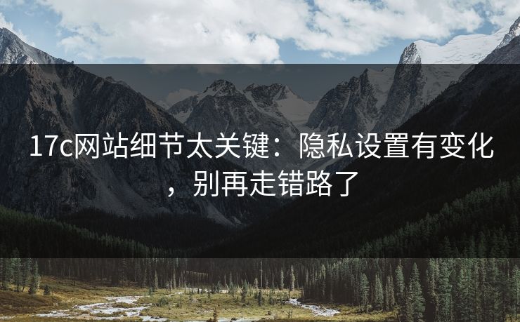 17c网站细节太关键：隐私设置有变化，别再走错路了